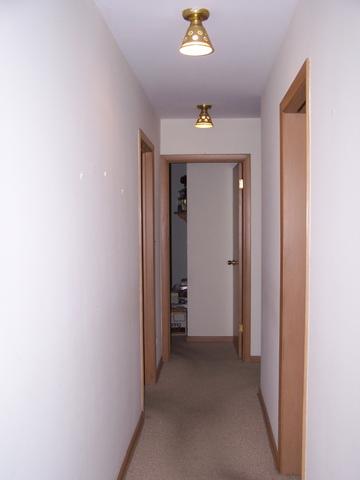 1319 E Algonquin Rd, Des Plaines, IL 60016 photo 8