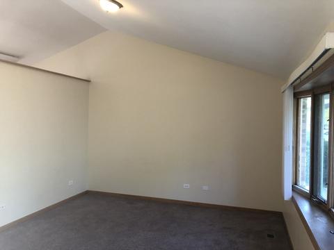 2911 Art Schultz Dr, Plainfield, IL 60586 photo 5