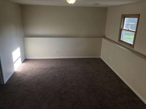 2911 Art Schultz Dr, Plainfield, IL 60586 photo 11