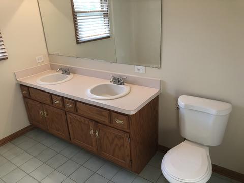 2911 Art Schultz Dr, Plainfield, IL 60586 photo 8