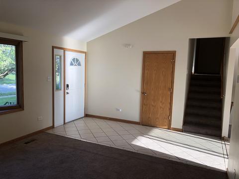 2911 Art Schultz Dr, Plainfield, IL 60586 photo 4