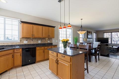 794 Meadow Dr, Des Plaines, IL 60016 photo 11
