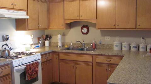 2635 E Girot St, Diamond, IL 60416 photo 4