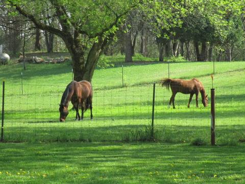 4910 King Rd, Harvard, IL 60033 photo 15