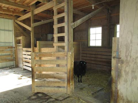 4910 King Rd, Harvard, IL 60033 photo 24