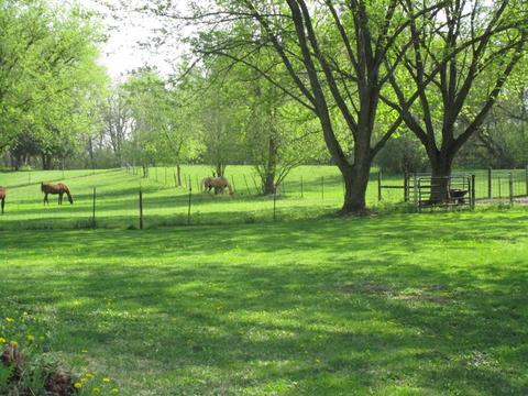 4910 King Rd, Harvard, IL 60033 photo 14