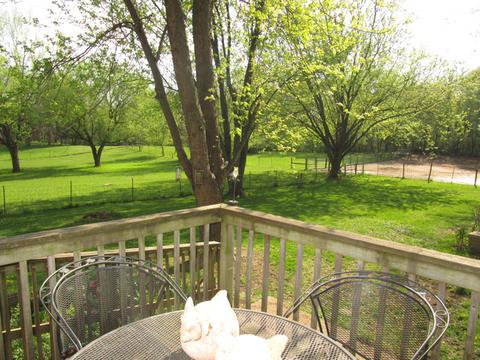 4910 King Rd, Harvard, IL 60033 photo 13