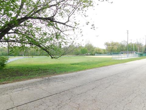 325 E 3rd St, East Dundee, IL 60118 photo 17