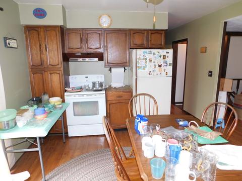 325 E 3rd St, East Dundee, IL 60118 photo 8