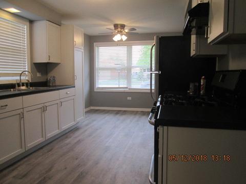 14827 Trumbull Ave, Midlothian, IL 60445 photo 11