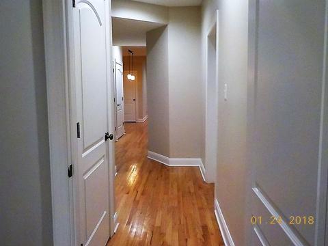 33 E 26th St #2, Chicago, IL 60616 photo 11