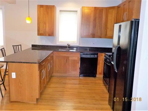 33 E 26th St #2, Chicago, IL 60616 photo 4
