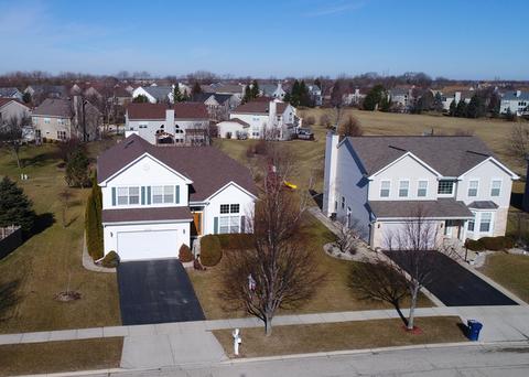 2232 Moser Ln, Algonquin, IL 60102 photo 39
