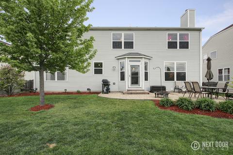 7502 Townsend Blvd, Plainfield, IL 60586 photo 33