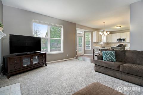 7502 Townsend Blvd, Plainfield, IL 60586 photo 17