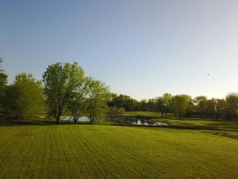 9836 S Carls Dr, Plainfield, IL 60585 photo 5