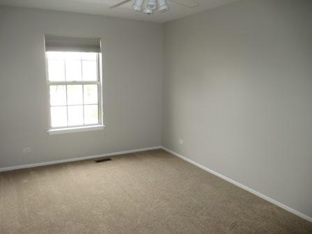 1397 Newcastle Ct, Bartlett, IL 60103 photo 10