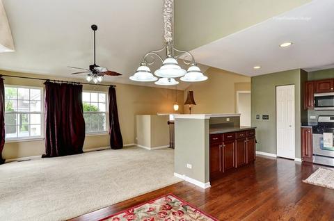 14613 Thomas Jefferson Dr, Plainfield, IL 60544 photo 3