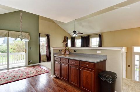 14613 Thomas Jefferson Dr, Plainfield, IL 60544 photo 10