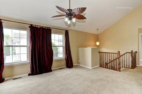 14613 Thomas Jefferson Dr, Plainfield, IL 60544 photo 6