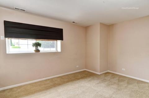 14613 Thomas Jefferson Dr, Plainfield, IL 60544 photo 20
