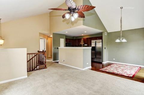 14613 Thomas Jefferson Dr, Plainfield, IL 60544 photo 5