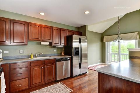 14613 Thomas Jefferson Dr, Plainfield, IL 60544 photo 11