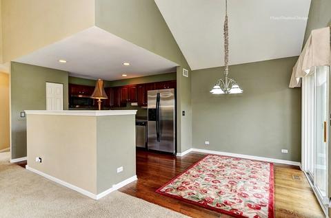 14613 Thomas Jefferson Dr, Plainfield, IL 60544 photo 7