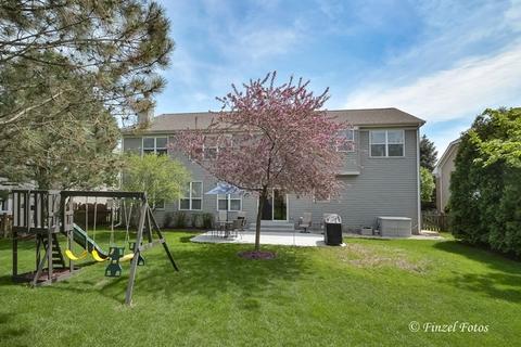 2252 Barrett Dr, Algonquin, IL 60102 photo 23