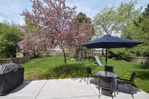 2252 Barrett Dr, Algonquin, IL 60102 photo 22