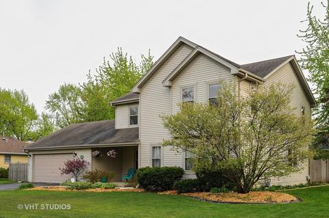 3616 Sigwalt St, Rolling Meadows, IL 60008 photo 16