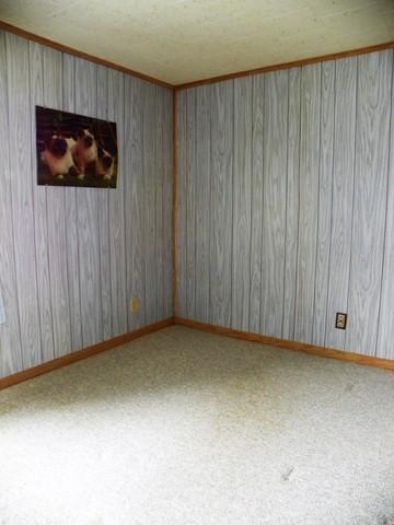 304 Odell Rd, Dwight, IL 60420 photo 5