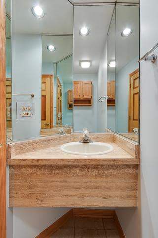 1013 Arbor Ct, Mount Prospect, IL 60056 photo 20