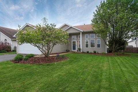 5846 Timber Trl, Plainfield, IL 60586 photo 2