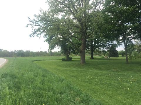 4251 E 4th Rd, Mendota, IL 61342 photo 33