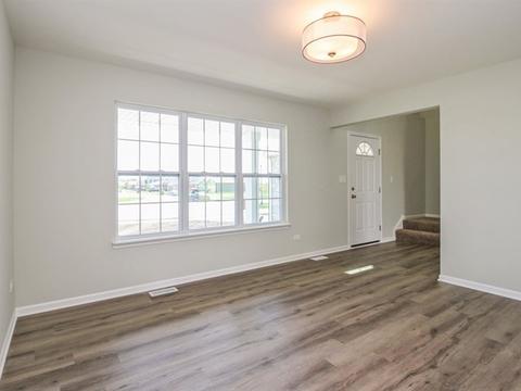 382 Tramore Ave, Beecher, IL 60401 photo 4
