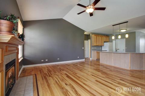 7424 Prairieside Dr, Plainfield, IL 60586 photo 9