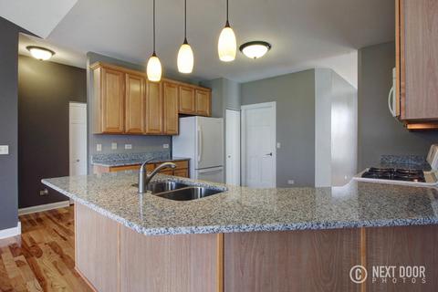 7424 Prairieside Dr, Plainfield, IL 60586 photo 10