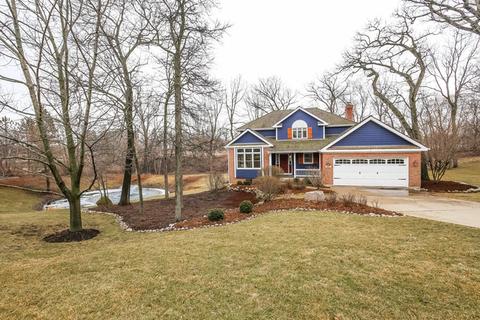 2571 Forest Ct, Lindenhurst, IL 60046 photo 3