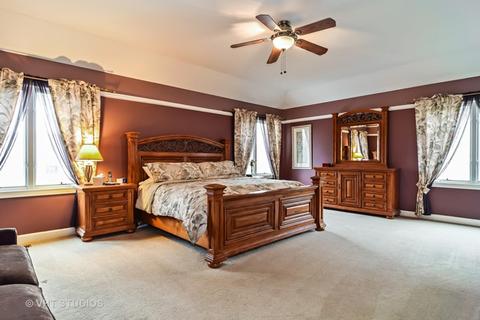 446 Pond View Ln, Bartlett, IL 60103 photo 10