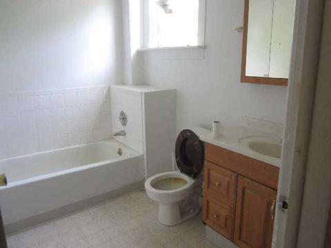 260 E Iroquois St, Sheldon, IL 60966 photo 11