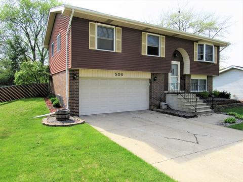 524 S Warrington Rd, Des Plaines, IL 60016 photo 1