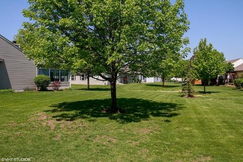 21050 W Walnut Dr, Plainfield, IL 60544 photo 15