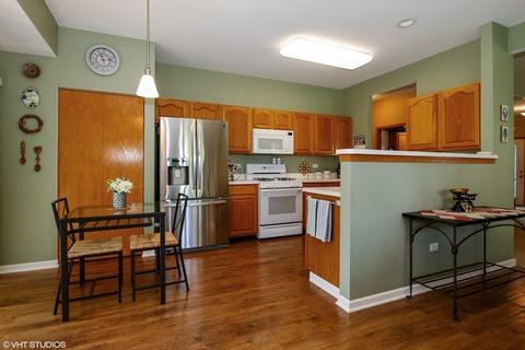 21050 W Walnut Dr, Plainfield, IL 60544 photo 6