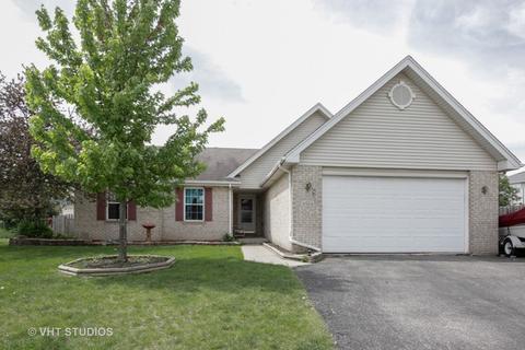 4524 Oriole Ln, Plainfield, IL 60586 photo 1