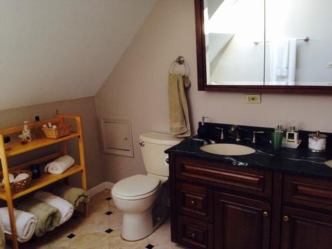 1818 W School St, Chicago, IL 60657 photo 10