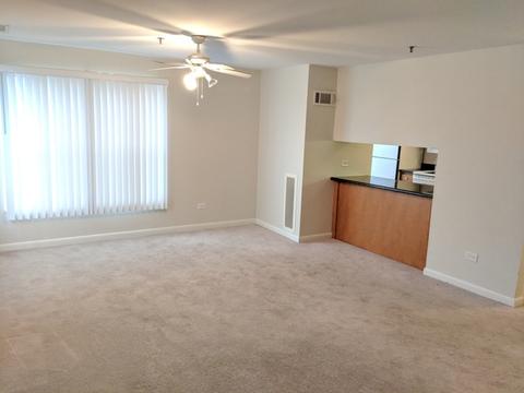 3255 Kirchoff Rd #301, Rolling Meadows, IL 60008 photo 4