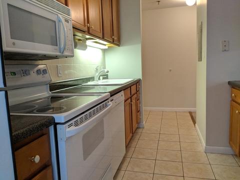 3255 Kirchoff Rd #301, Rolling Meadows, IL 60008 photo 8