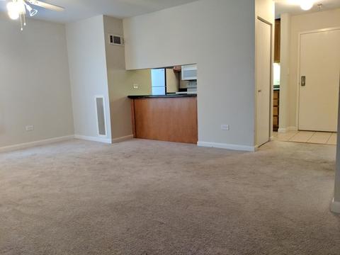 3255 Kirchoff Rd #301, Rolling Meadows, IL 60008 photo 2
