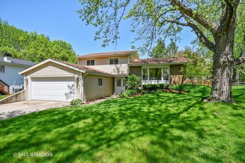 1303 Downing Ct, Wheaton, IL 60189 photo 1